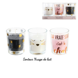 Grossiste bougie en verre x3 chat