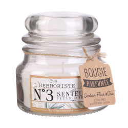 Grossiste bougie pot en verre herboriste 10x10cm