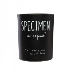 Grossiste bougie en verre senteur musc blanc / vanille noire