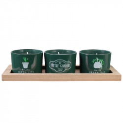 Grossiste bougie verte x3 sur plateau Little Market