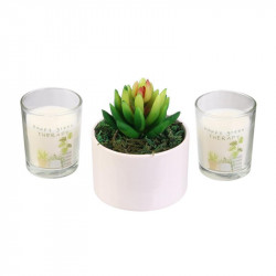 Grossiste bougie x2 et plante artificielle Little Market