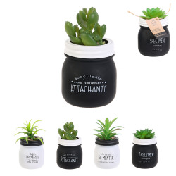 Grossiste plante artificielle dans un pot en verre spécial humeur