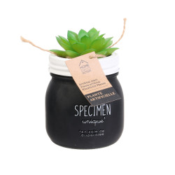 Grossiste plante artificielle dans un pot en verre spécial humeur noir