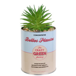 Grossiste plante artificielle cactus dans un pot en métal beige