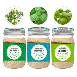 Grossiste graine à planter aromates dans un Mason jar