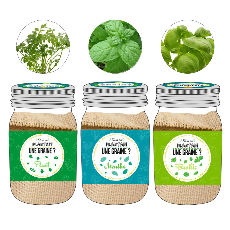 Grossiste graine à planter aromates dans un Mason jar