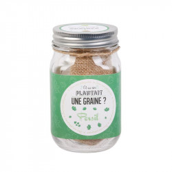 Grossiste graine à planter aromates mason jar vert