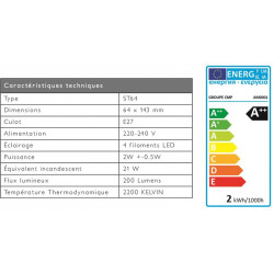 Grossiste ampoule ST64 E27 avec LED droit transparent 2W