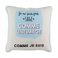 Grossiste coussin avec illustration à message bleu