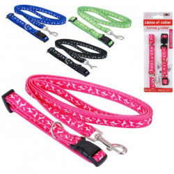 Laisse avec Collier pour Chien