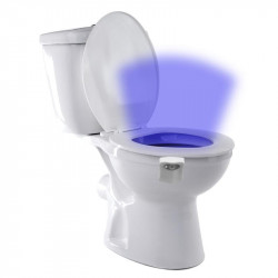 Motion detection toilet light