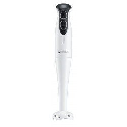 Mixeur plongeur - 200W