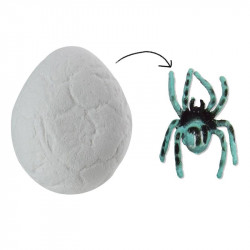 Magical spider egg