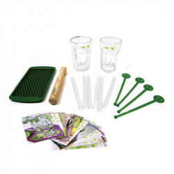 Mojito cocktail making set