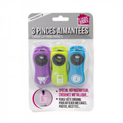 Pince Aimantée, Pince Magnetique,10 Pièces Clip Magnétique Frigo, Pince  Aimanté, Pince Aimant Frigo, Pince Aimantée Frigo, Clips Magnétiques Pour  Réfrigérateur, Pince Magnetique Frigo, Clip Magnetique : : Cuisine  et Maison