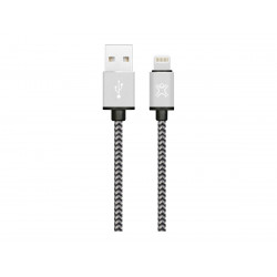 Set of 2 Lightning charging...