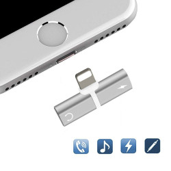 Dual port splitter adapter...