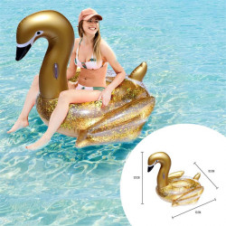 Inflatable gold swan pool...