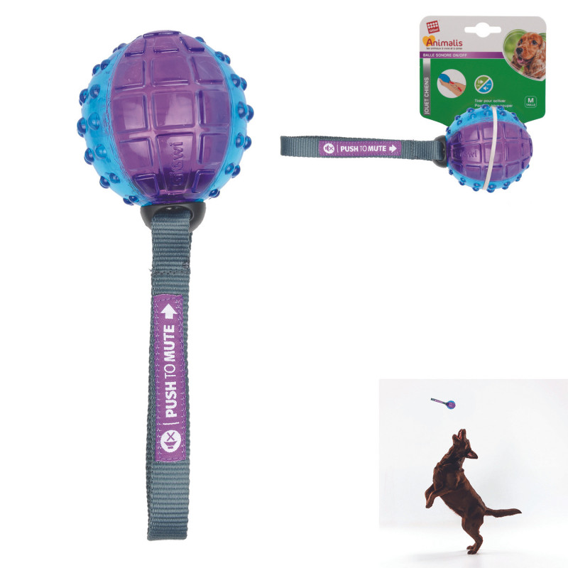 Grossiste Balle sonore bleue pour chien