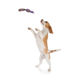 Grossiste Jouet en forme de canard sonore violet pour chien