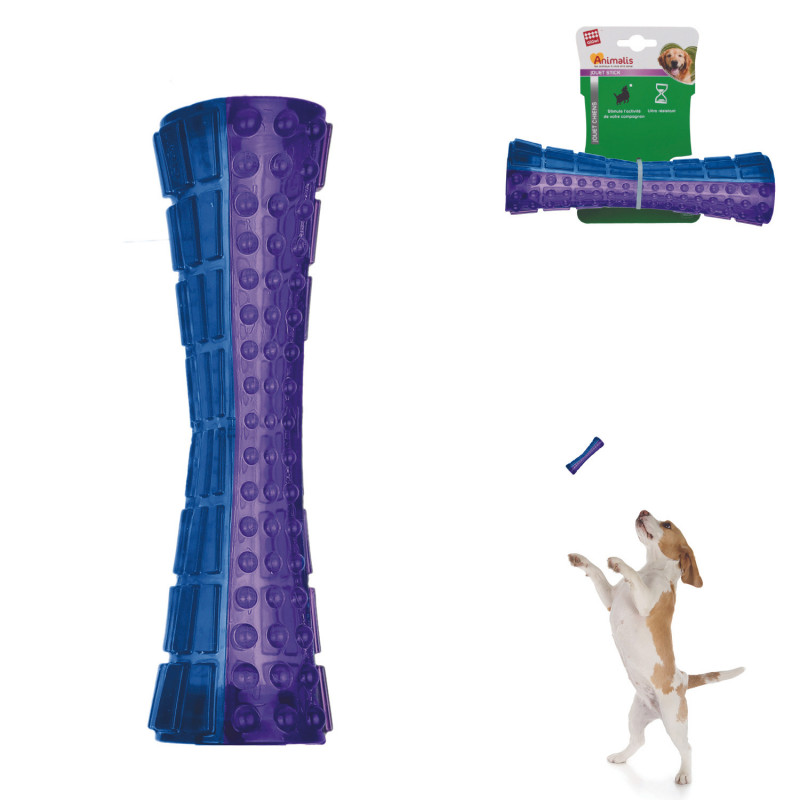 Grossiste Jouet stick bleu violet pour chien - taille M