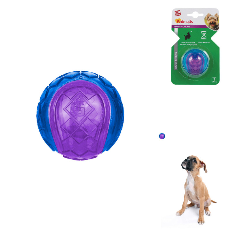 Grossiste Balle sonore bleue et violette pour chien - taille S