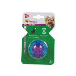 Grossiste Balle sonore bleue et violette pour chien - taille S