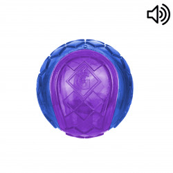 Grossiste Frisbee pour chien violet